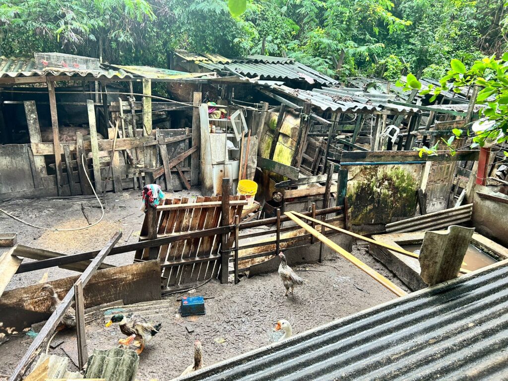 Ação resgata animais em situação de maus tratos em fazenda clandestina em Salvador – Secretaria de Comunicação