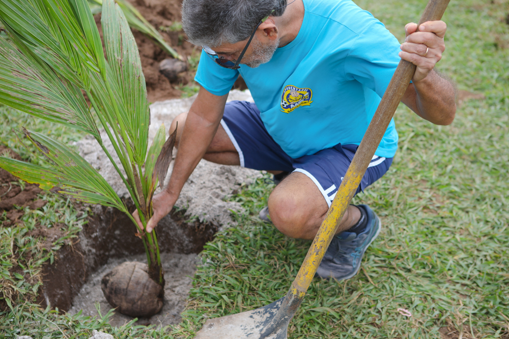 Secis realiza plantio de 2 mil mudas de coqueiro na orla do Jardim de Alah – Secretaria de Comunicação
