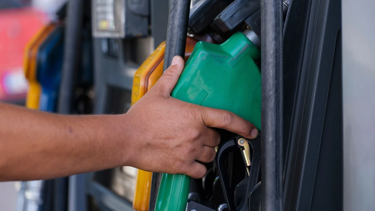 Mão segurando bico de combustível verde em bomba de posto de gasolina, tema da desoneração de tributos federais aprovada pelo Congresso Nacional