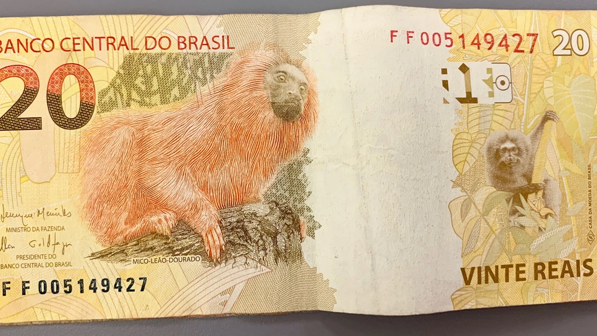 Cédulas de 20 reais da segunda família do real; último lote do abono salarial PIS/Pasep 2026 foi pago em 17 de agosto